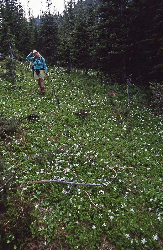 1994-07 Royal Basin Backpack 15.jpg